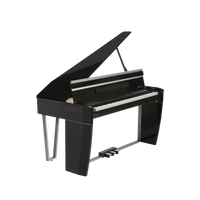 DEXIBELL H10 MG BLACK - Mini Grand