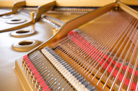 Pre-Owned Steinway Approved Model A-188 SN:525933 - Salon Grand