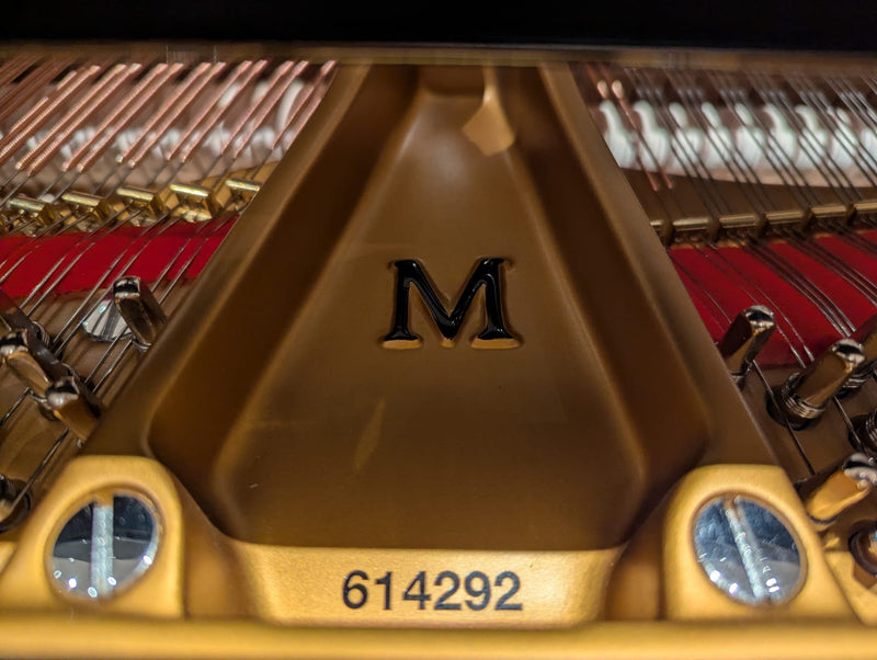 PRE-OWNED STEINWAY GRAND M 170 - SN:614292