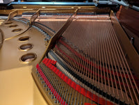 PRE-OWNED STEINWAY GRAND M 170 - SN:614292