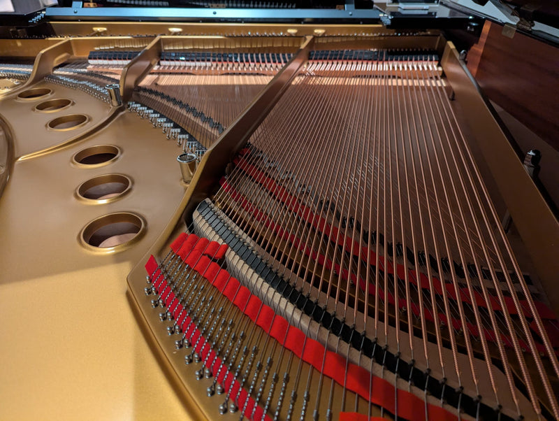 PRE-OWNED STEINWAY GRAND M 170 - SN:614292
