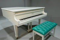 PRE-OWNED ESSEX GRAND EGP155C WHITE SN:133029 - Classic Grand