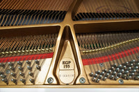 PRE-OWNED ESSEX GRAND EGP155C WHITE SN:133029 - Classic Grand