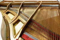 PRE-OWNED ESSEX GRAND EGP155C WHITE SN:133029 - Classic Grand